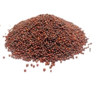 Graines de Moutarde Brune Bio - 100g* - Anti-Gaspi 50%