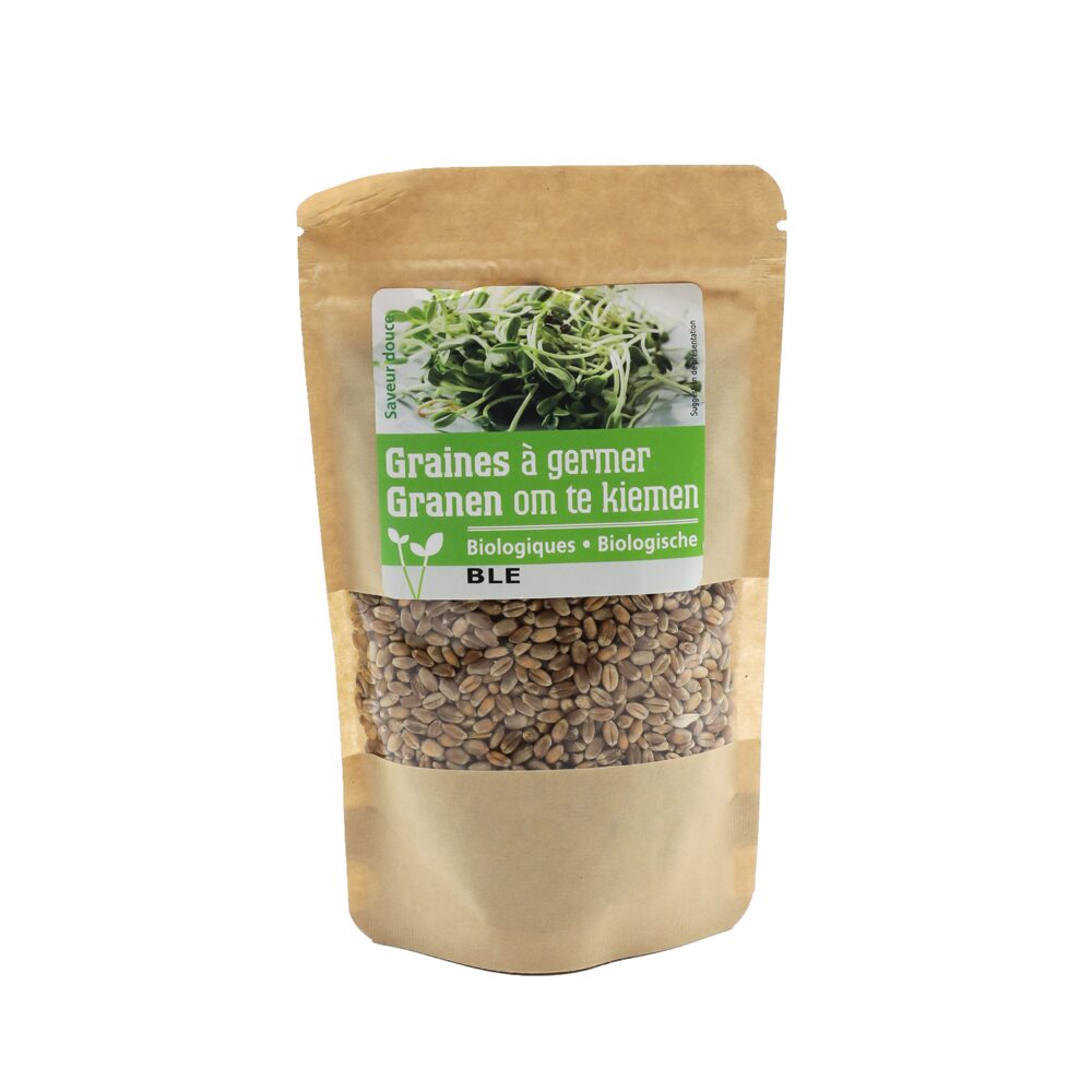 Graines à germer - Blé BIO*