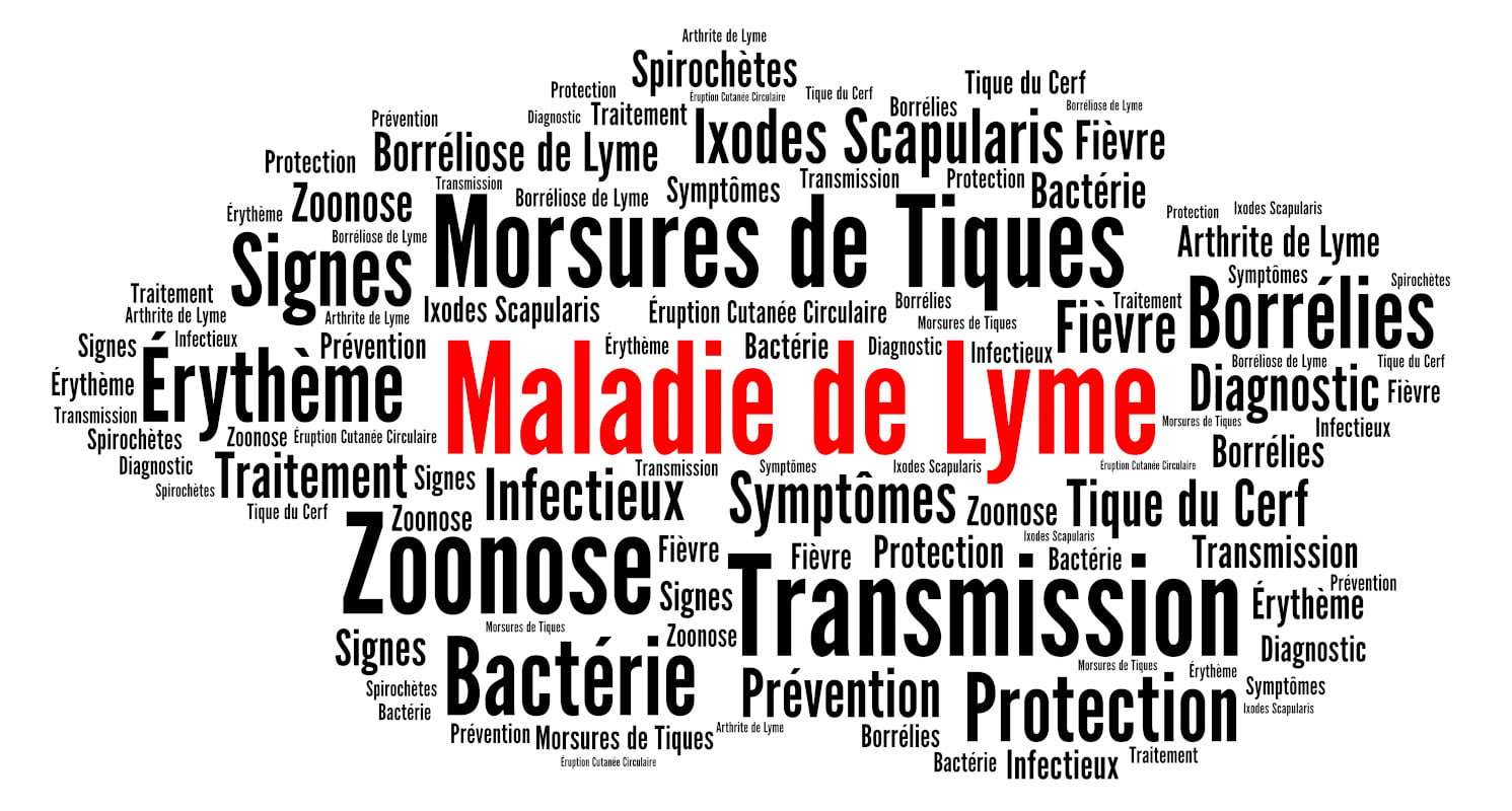 Maladie de lyme nuage de mots