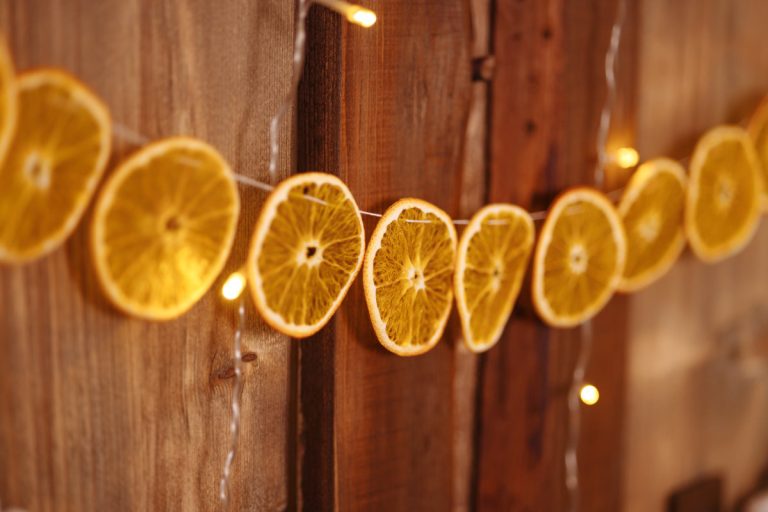 guirlande oranges séchées