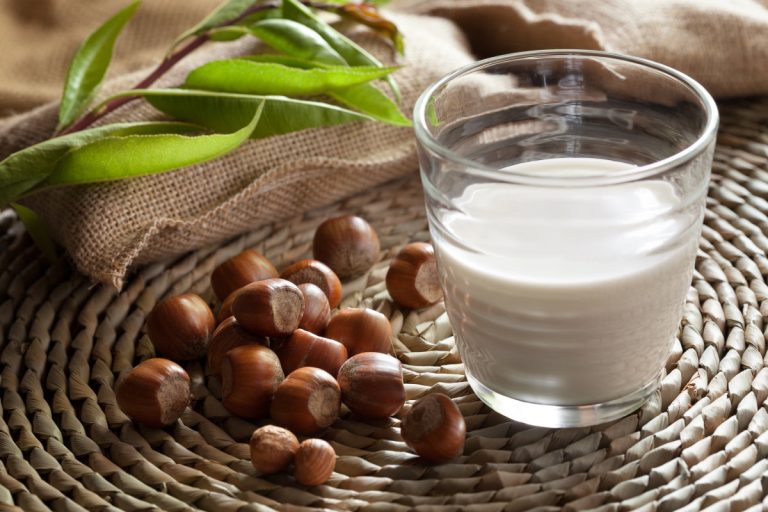lait de noisette maison
