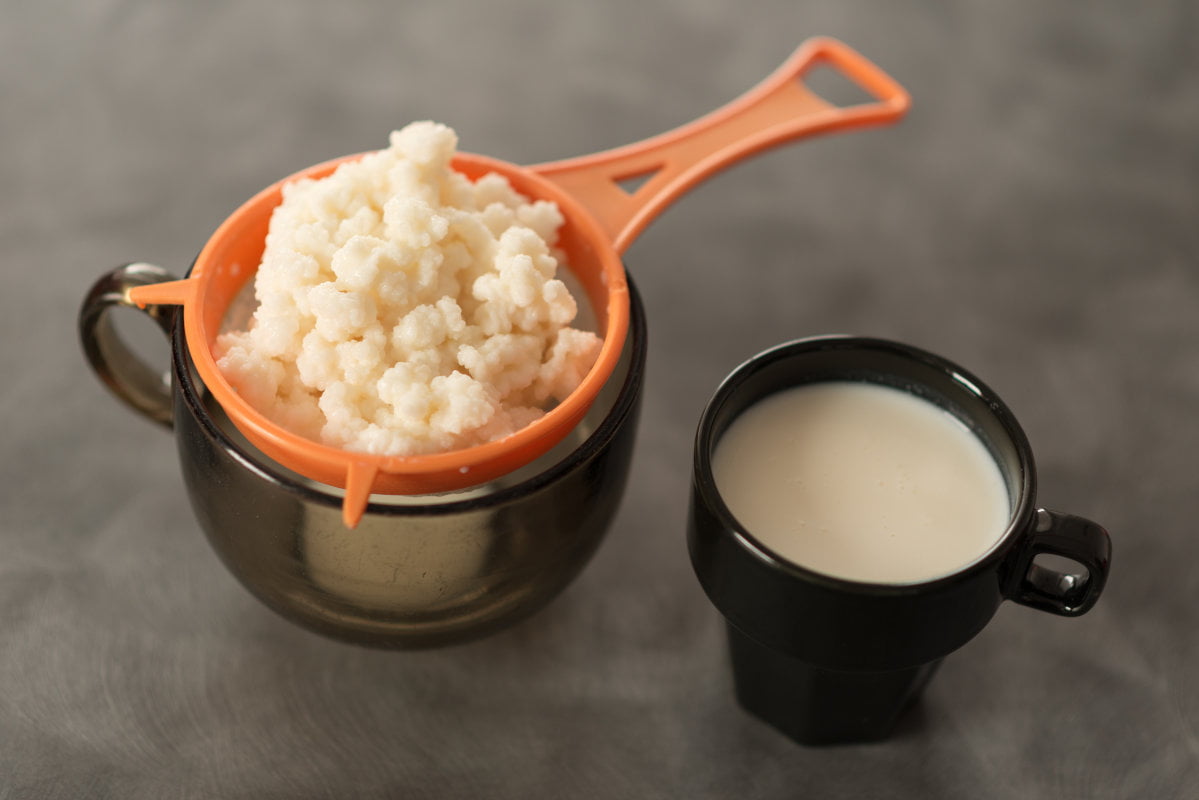 Kefir de Lait